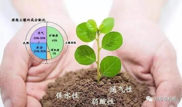 如何判断土壤含水量