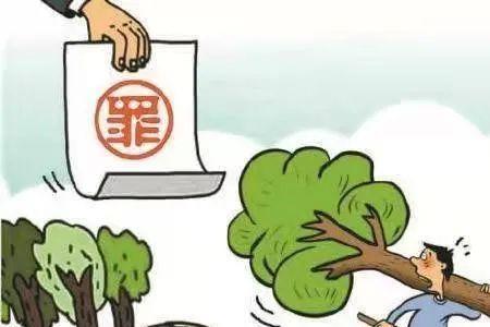 砍伐多粗的树负法律责任