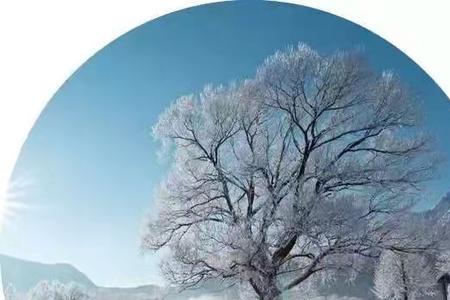 第一场雪课文原文作者
