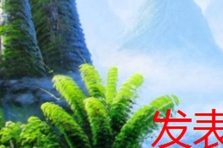 发表的论文内容都差不多吗