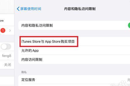 ipad如何设置app访问限制