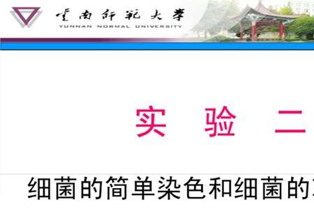 什么是革兰染色法