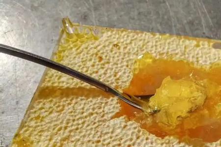 蜂巢蜜怎么处理才能干净