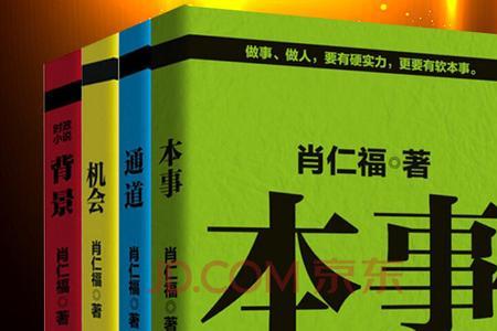 有实践能力的官场小说