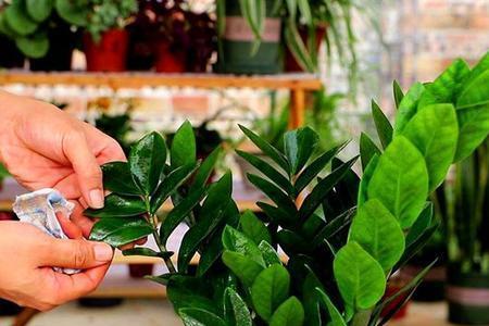 代森锰锌兑水灌根浇花好不好