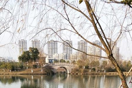 11月份在白马湖那个地方钓鱼最好