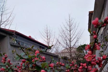 江苏省徐州市邳州市人性格特点