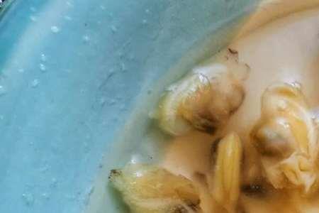 笨蛤肉怎么做
