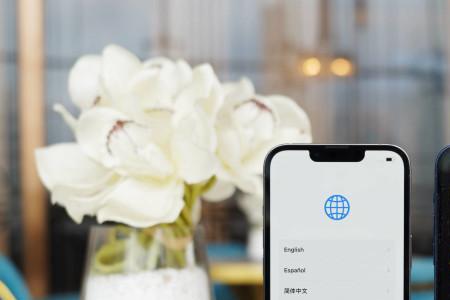 iphone13pro时间栏字体怎么调小