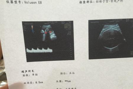 周度是什么意思