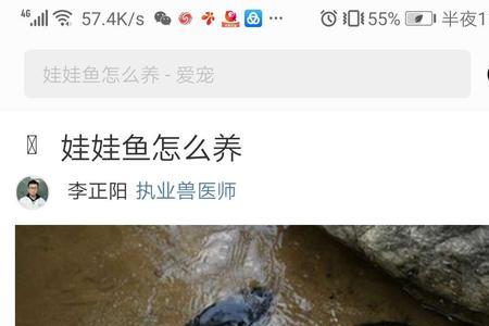 娃娃鱼适合什么温度生存