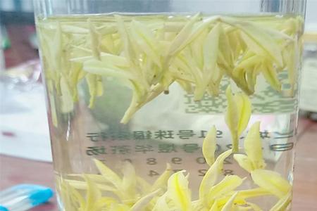 黄金茶的冲泡方法