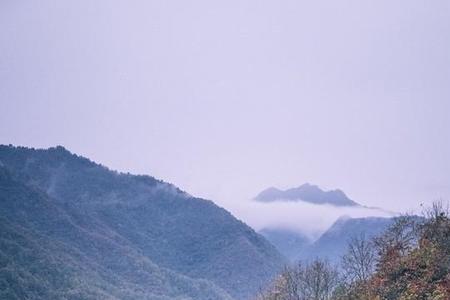 陆游的东篱有怎样的景色