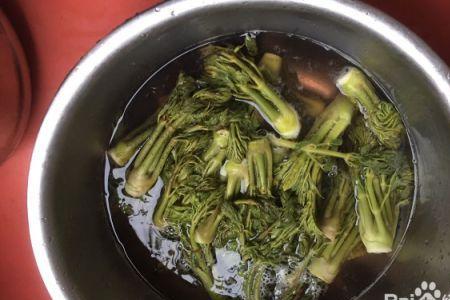 皮芽子如何长期贮存