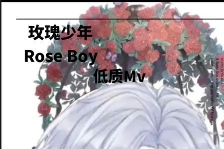 玫瑰少年英语文案