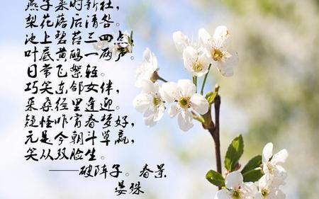 花落结果的诗句