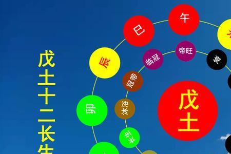 金绝于寅怎么解释