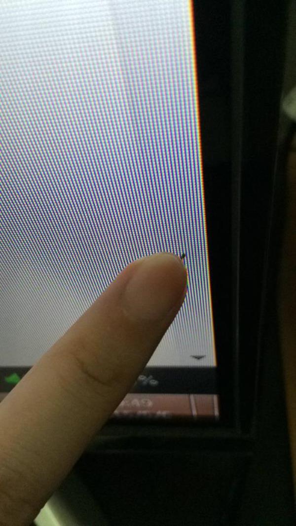 电视屏幕里有虫怎么办