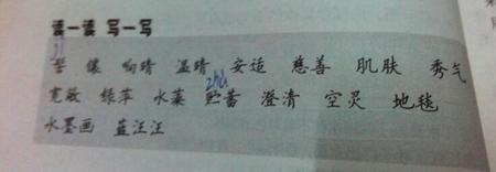 有关盲目的词语