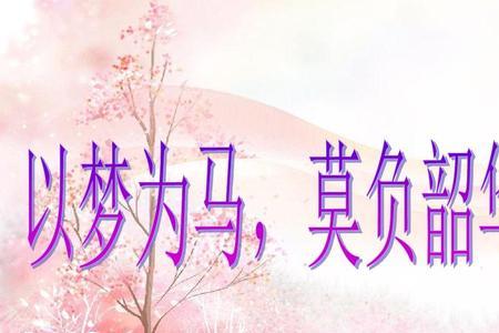 以梦为马,不负韶华近义词