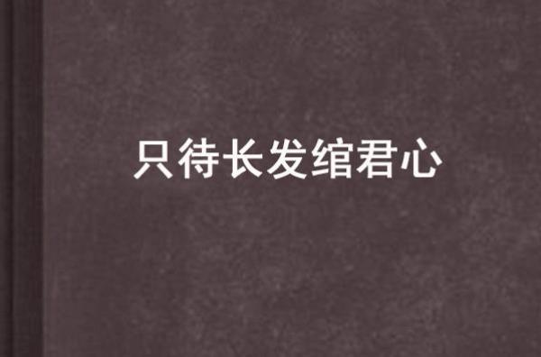 愿以辰光绾君心什么意思