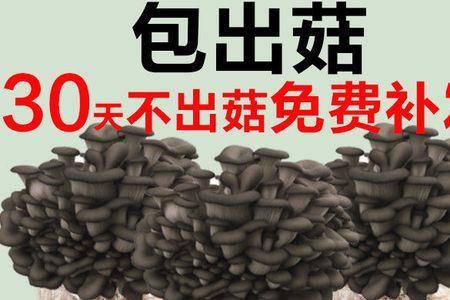 蘑菇菌包散了怎么办
