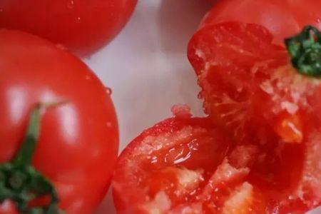 番茄怎么保存时间长新鲜