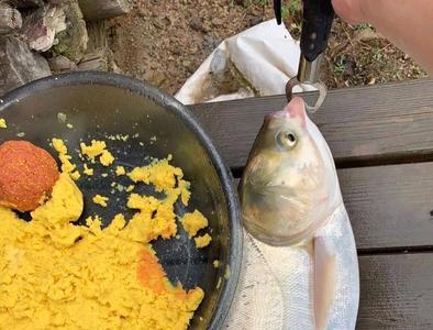 温度高怎样钓花白鲢狂开口