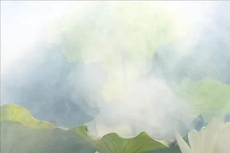 道天录天源令和天机令是什么
