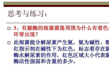 脲酶素比尿素区别