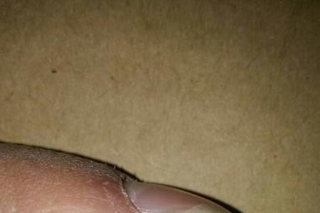 手碰到钢水会融化吗