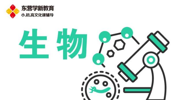 上生物课是什么意思