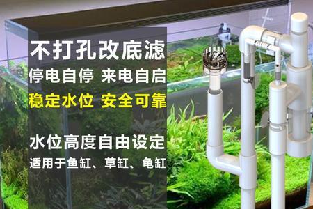 鱼缸打孔最佳位置