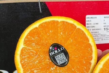 西班牙橙的特点
