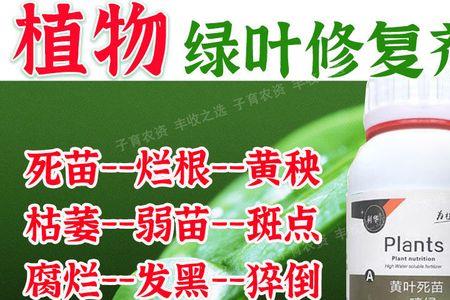 烂根药可以叶面喷洒吗