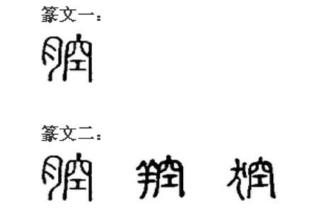 残腔什么意思