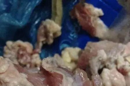 梅头肉是不是淋巴肉