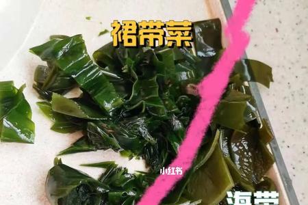 裙带菜与海带的区别