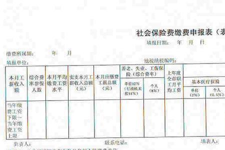 个人申报缴费期是什么意思