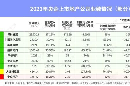 归属母公司净利润什么意思