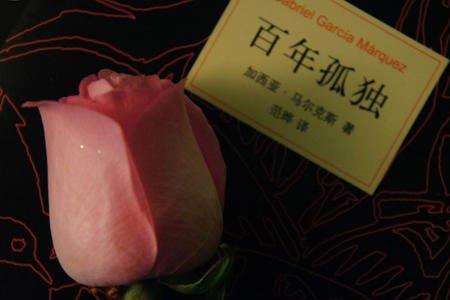 璀璨终究落寞怎么解释