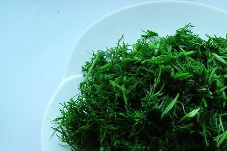 茴香菜怎么吃