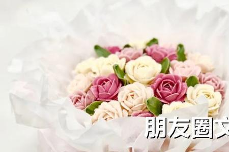 评论朋友圈女生自拍的句子