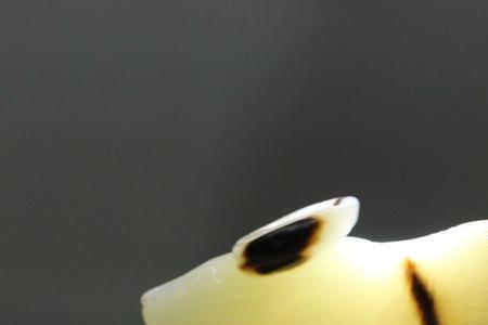 商周古玉用青海料吗