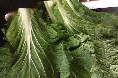 用什么办法能去除菜叶上的昵称