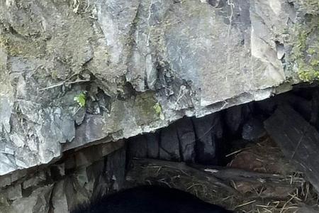避光的山洞能养殖或种植什么吗