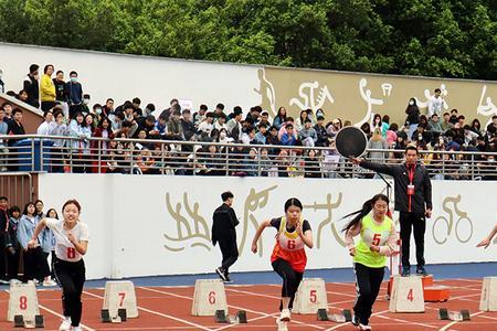 校运会有几次