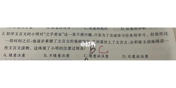 自外之意的解释