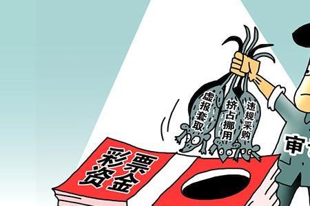 审计是抽查还是全部查