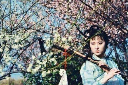 红楼梦桃花诗意思